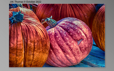 October Pumpkins-3.jpg